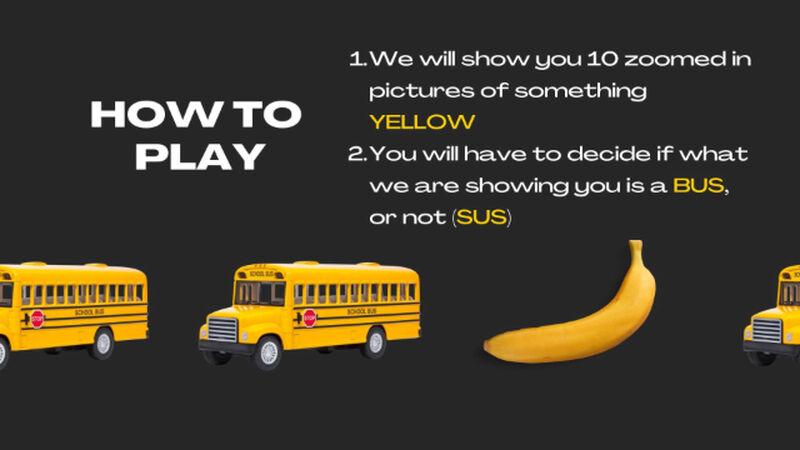 Bus or Sus? Volume 3